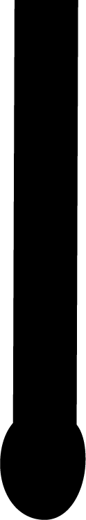 Final Solution
