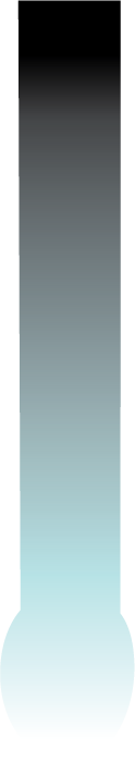 Final Solution
